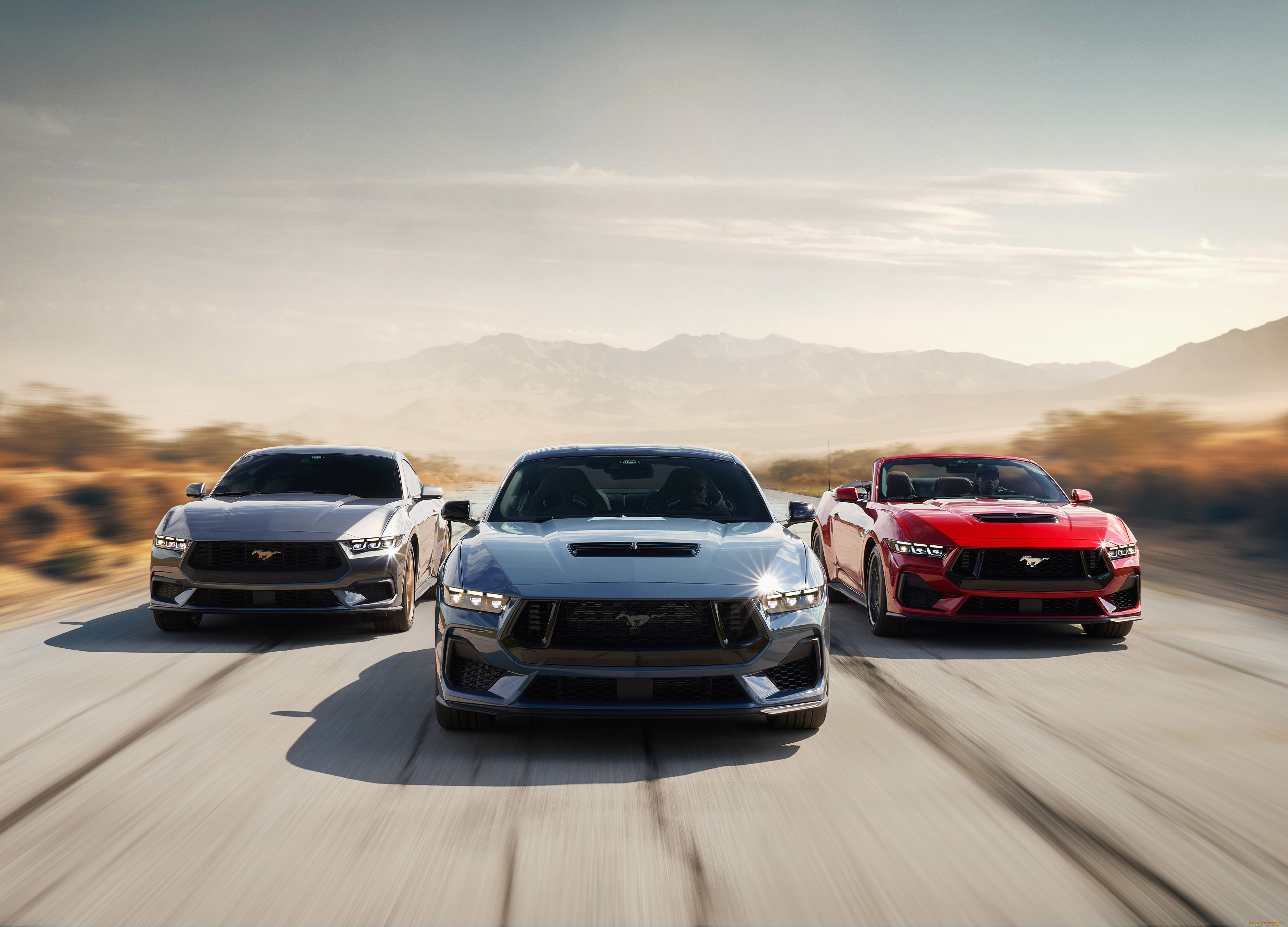 , mustang